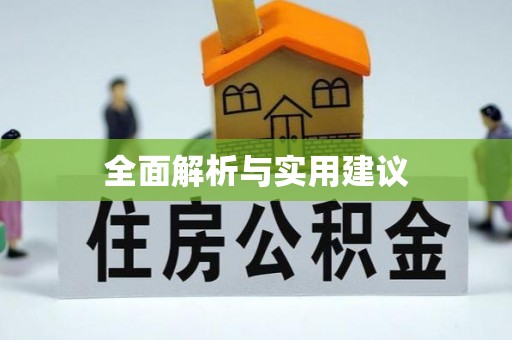 桐梓全面解析与实用建议
