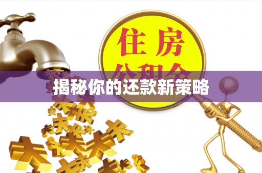 桐梓揭秘你的还款新策略