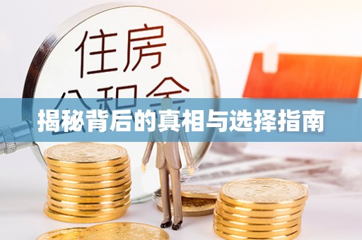 桐梓揭秘背后的真相与选择指南