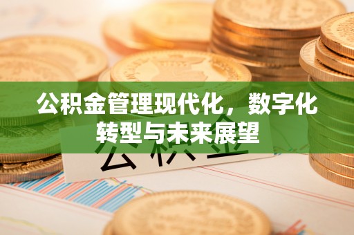 桐梓公积金管理现代化，数字化转型与未来展望