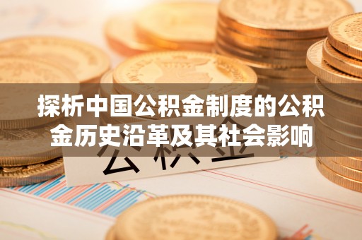桐梓探析中国公积金制度的公积金历史沿革及其社会影响
