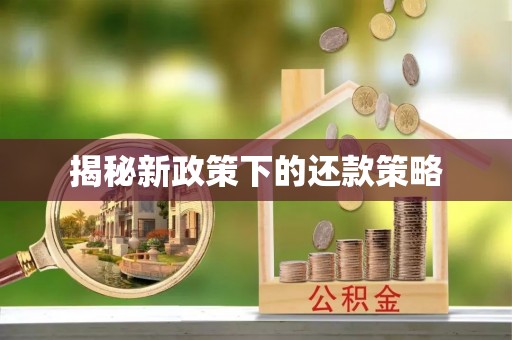 桐梓揭秘新政策下的还款策略