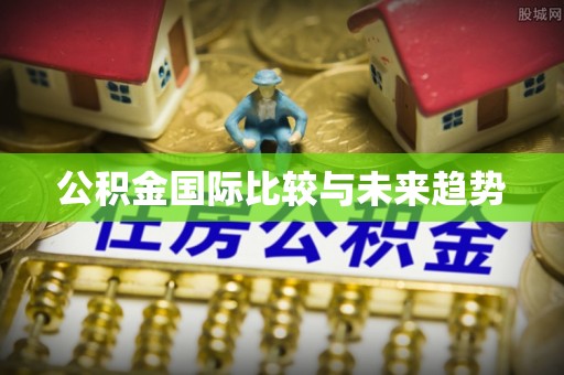 桐梓公积金国际比较与未来趋势