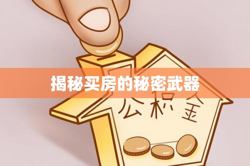 桐梓揭秘买房的秘密武器