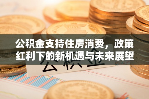 桐梓公积金支持住房消费，政策红利下的新机遇与未来展望