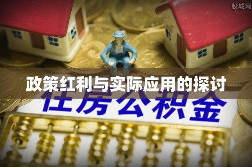桐梓政策红利与实际应用的探讨