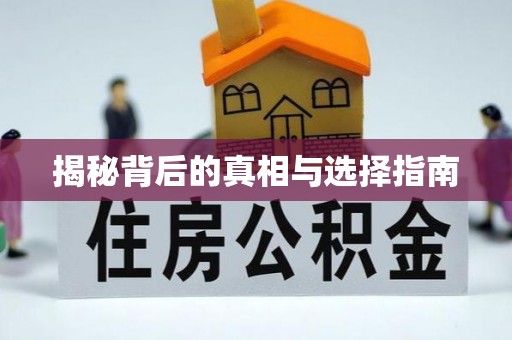 桐梓揭秘背后的真相与选择指南
