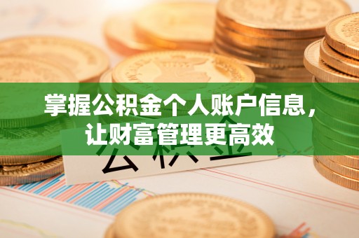 桐梓掌握公积金个人账户信息，让财富管理更高效