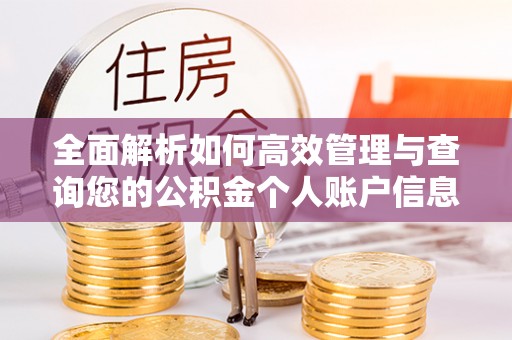 桐梓全面解析如何高效管理与查询您的公积金个人账户信息
