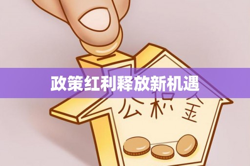 桐梓政策红利释放新机遇