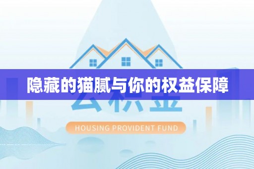 桐梓隐藏的猫腻与你的权益保障