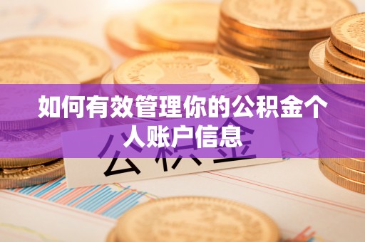 桐梓如何有效管理你的公积金个人账户信息