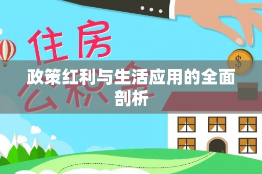 桐梓政策红利与生活应用的全面剖析