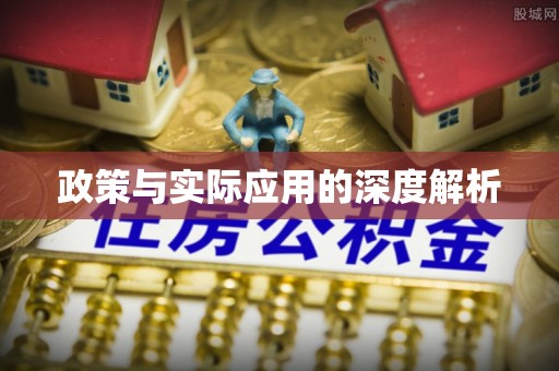 桐梓政策与实际应用的深度解析