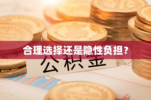 桐梓合理选择还是隐性负担？