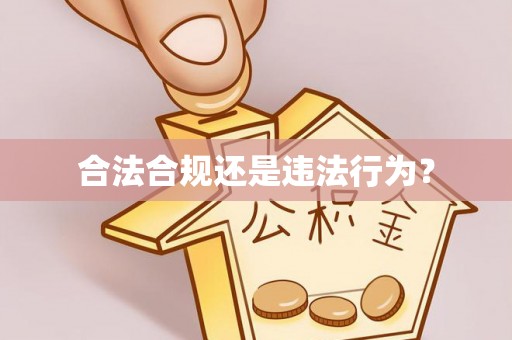 桐梓合法合规还是违法行为？