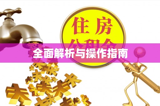 桐梓全面解析与操作指南