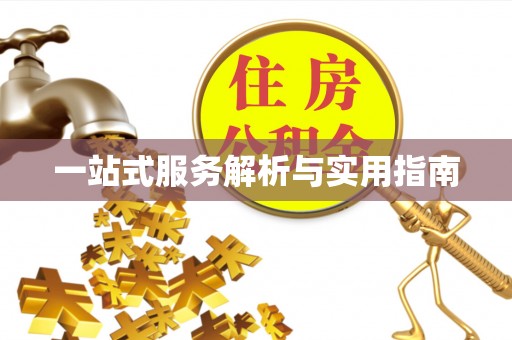 桐梓一站式服务解析与实用指南