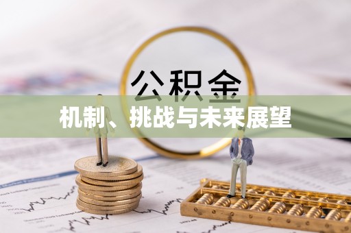桐梓机制、挑战与未来展望