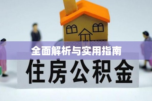 桐梓全面解析与实用指南